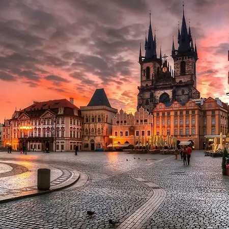 Yellow Flora Apartamento
